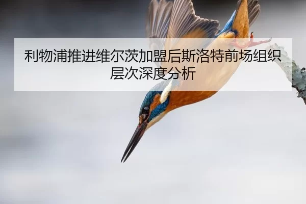 利物浦推进维尔茨加盟后斯洛特前场组织层次深度分析